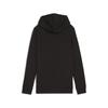 Официальный логотип Puma Puma Official Essential Hoodie French Terry Tr