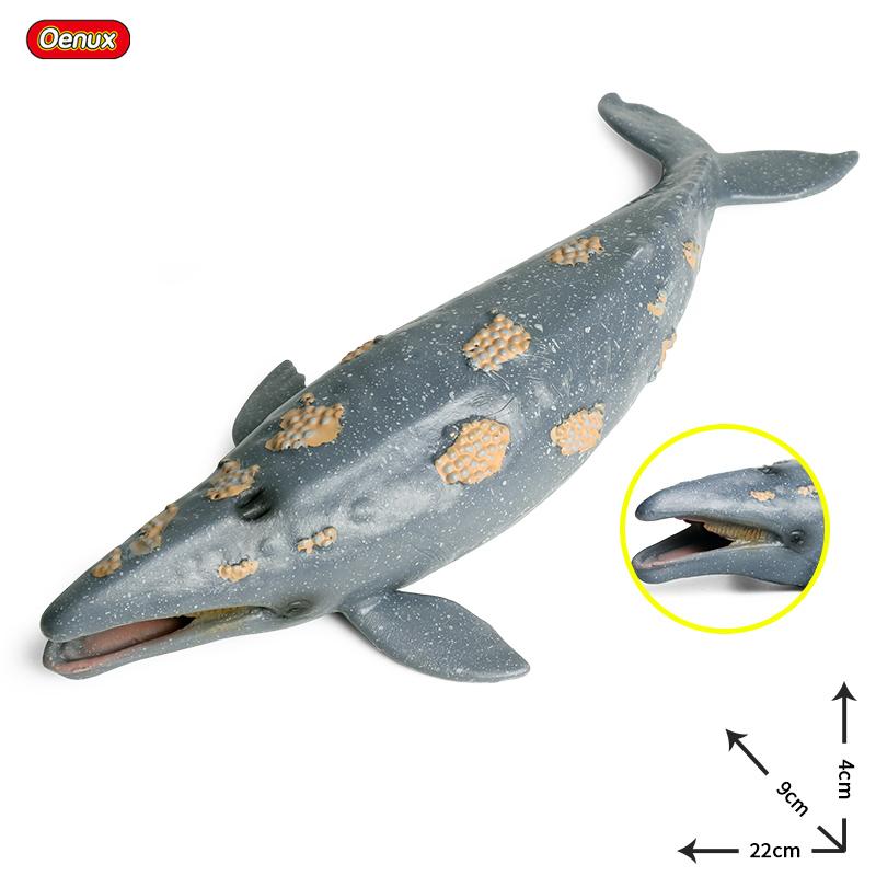 Oenux Фигурки морских животных, фигурки морской жизни, акула, кит, мегалодон, модель, фигурки из ПВХ, украшение для дома, познавательная игрушка для детей