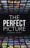 Книга The Perfect Picture
