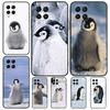 Пингвин снег арктический милый зверек для Samsung Galaxy M13 M23 M33 M53 M21 M31 M51 M30s M20 M12 M32 M52 M14 M34 M54 чехол для телефона