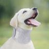 Breathable Pet Anti-lick Collar Soft Dog Neck Ring Cat Recovery Collar  for Dogs Cats