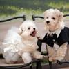 Dog Dress,Pet Wedding Dress Princess Formal Tutu Skirt with Bowknot,Puppy Birthday Party Outfit Apparel Girl for Small Dogs Cats (White Lace,