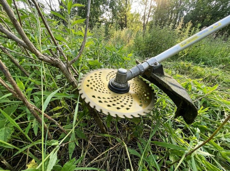 Tarcza Widiowa Do Kosy Spalinowej 255 Mm 40T Do Krzewów, Chwastów I Gęstych Zarośli
