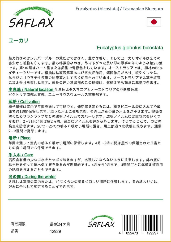 SAFLAX Тасманская голубая резинка - 100 семян - Eucalyptus globulus