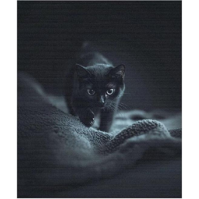 Highland Cow Dishwasher Magnets Decorative Cover Magnetic Cover for Refrigerator Wash Machine Metal Door Cover Sticker Magnetic Dishwasher Cover