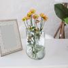 Glass Vase Flower Nordic Arrangement Plant Holder for Table Centerpiece