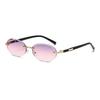 Street Style Punk Shades Cut-Edge Y2K Eyewear Fashion Hip-Hop Sun Glasses  for Women