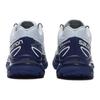 Кроссовки XT-6 Salomon GORE-TEX 'Heather Blue Print' L47291900
