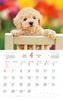 Календарь 2025 Пушистая Собака (Ежемесячно/Настенная) (Календарь Impress 2025)