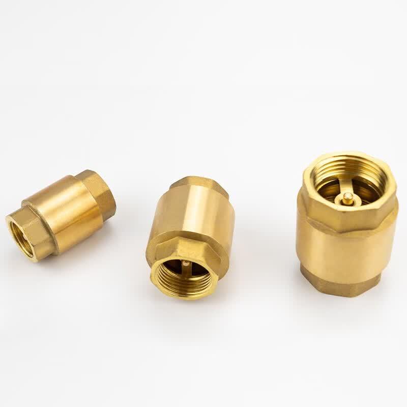 Haisidick GNJZ-631 Vertical Brass Spring Check Valve