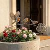 Weather Resistant Robin Garden Stake Metal Bird Plant Stake New Bird Garden Stake  Patio Decor