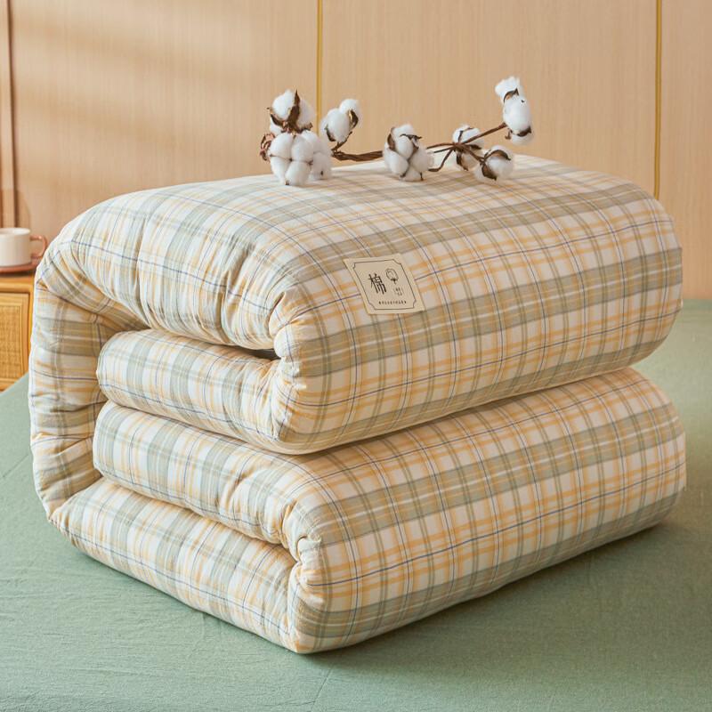 LISM Xinjiang Washed Cotton Thickened Winter Quilt