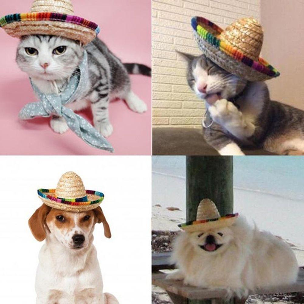 Adjustable Costume Cat Mexican Straw Cap Pet Ornaments Sombrero Pet Straw Hat