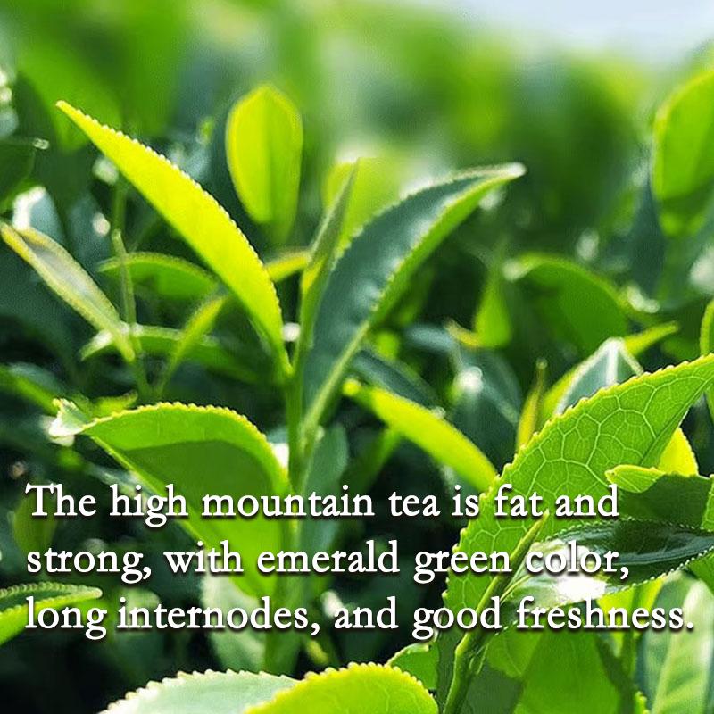 HelloYoung Органический тайваньский высокогорный молочно-зеленый чай Цзинь Сюань улун с сильным ароматом, устойчивый к завариванию