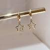 New Fashion Korean Charm Drop Earrings for Women Trendy Simple Star Zircon Elegant Zircon Accessories Gifts