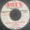 7-дюймовая пластинка AL MARTIN THE BLUE GRASS RICK F Shelter In Time Of Storm A Sunday N10001 Nicks Records США Регги Ска Даб Б/у