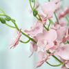 Artificial Phalaenopsis Flower Real Touch Faux Butterfly Orchid Branch for Tall Vase Wedding Home Office Party Hotel Decoration