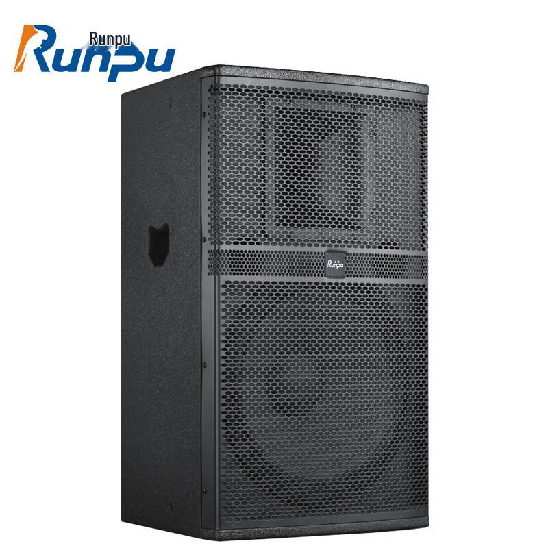Runpu Professional Dual 10-inch Passive Conference Speaker (CN version)