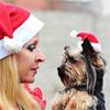 Cute Holiday Costume Headwear Santa Claus Animal Cap Cat Dog Christmas Pet  Hat