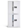 Password Lock Double-Door Security Filing Cabinet