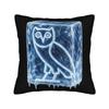 Drake Rapper Pillowcase Printing Polyester Cushion Cover Decorative Throw Pillow Case Cover Home Zippered 40X40Cm