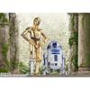 НАРОДЫ ТАМАШИИ SH. Figuarts Звездные Войны C-3PO - Классическая Версия- (ЗВЕЗДА Надежда) приблизительно 155 мм АБС ПВХ окрашенная подвижная фигурка