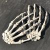 Realistic Plastic Skeleton Hands Life Severed Design Halloween Props for Haunted House Scene Party Horror Decoration Accessories