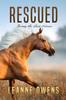 The Rescued : Saving the Lost Horses : 2 Book