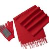 Aisiyalan Warm Scarf and Glove Set
