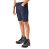 Regatta Childrens/Kids Sorcer II Shorts