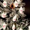 LED Christmas Light String Warm White Cartoon Characters Indoor Holiday Decor 3m 20 Lights Plug-in