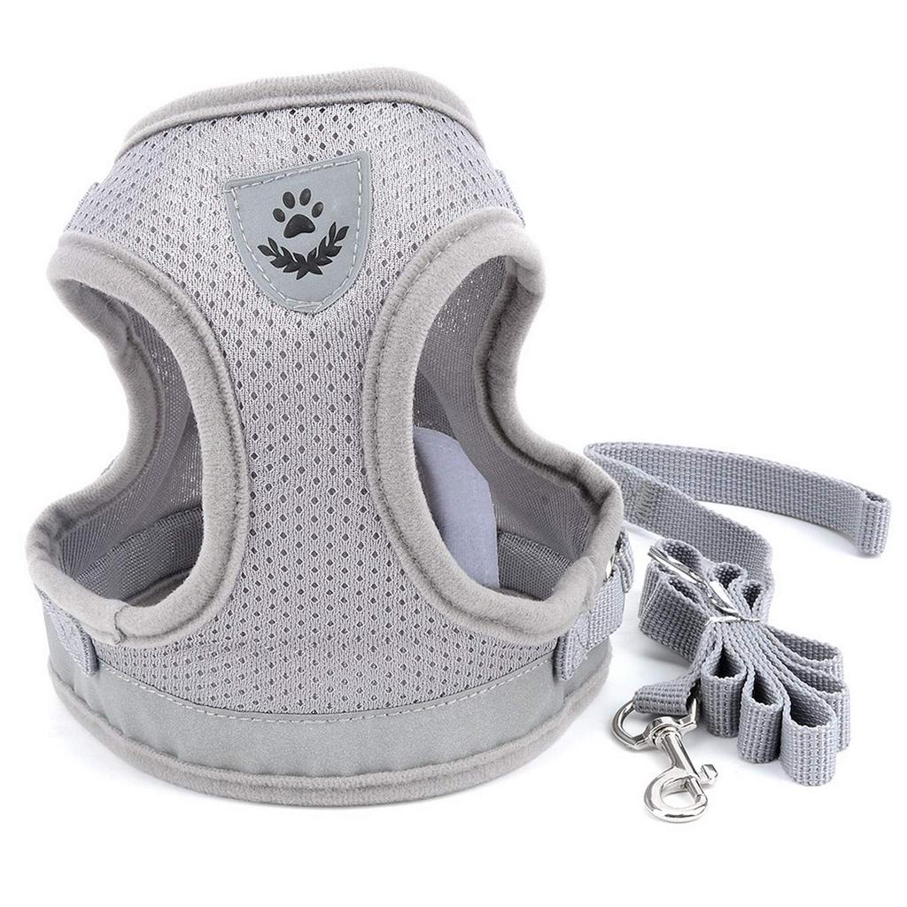 RANPHY Cat Harness and Leash Cute and Suitable for Dogs and with Reflective Stylish No Leg Lift Breathable Easy to Put Adjustable Escape Small L Set,