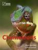 Книга Chameleons