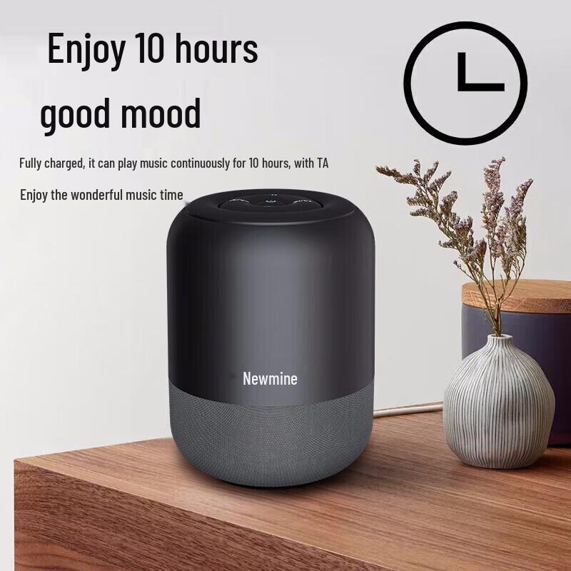 Портативная беспроводная Bluetooth-колонка Newsmy BT51, штекер CN (адаптер в комплекте)
