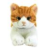 SunLemon Кот на коленях Часиро Маленький 13 x 36 x 15 см Плюшевое животное Милый кот P-7822