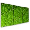 Картина из трех частей, печать на холсте, зеленая листва, природа