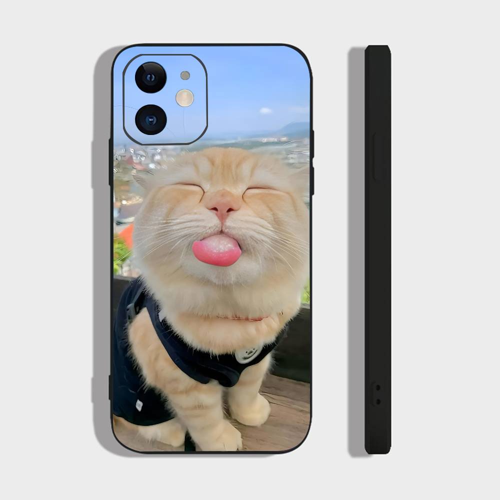 Милый Чехол для Телефона с Кошкой Для IPhone 17 Air 16 15 14 13 Pro Max 11 12 Черный Силиконовый Чехол