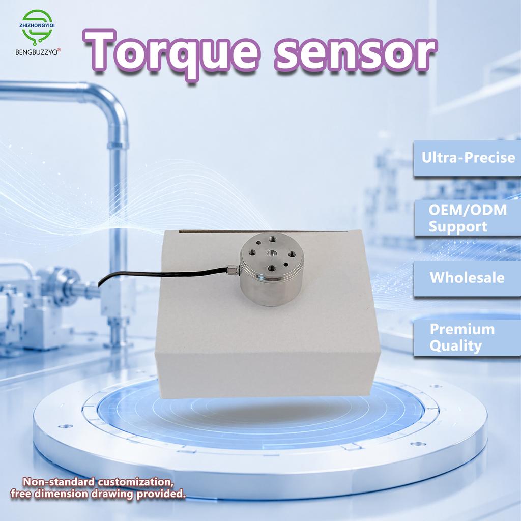 Industrial Reaction Torque Sensor 0-10Nm High Sensitivity Static Torque Measurement Weighing Sensor for Laboratory