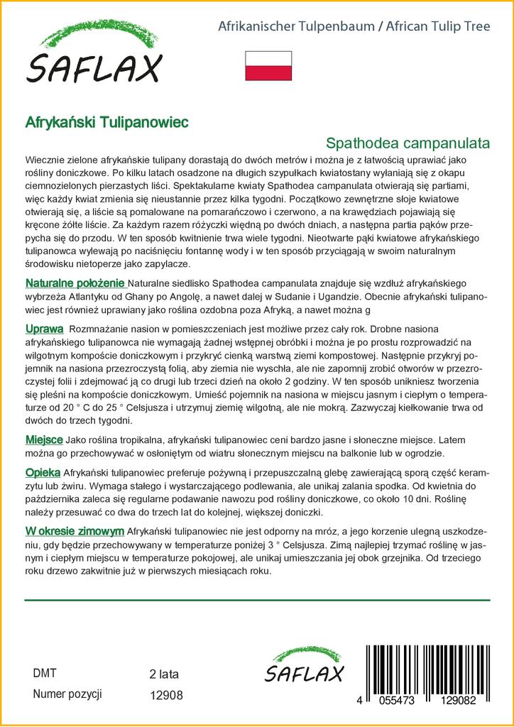 SAFLAX Африканское тюльпановое дерево - 30 семян - С горшечным субстратом для лучшего выращивания - Spathodea Campanulata