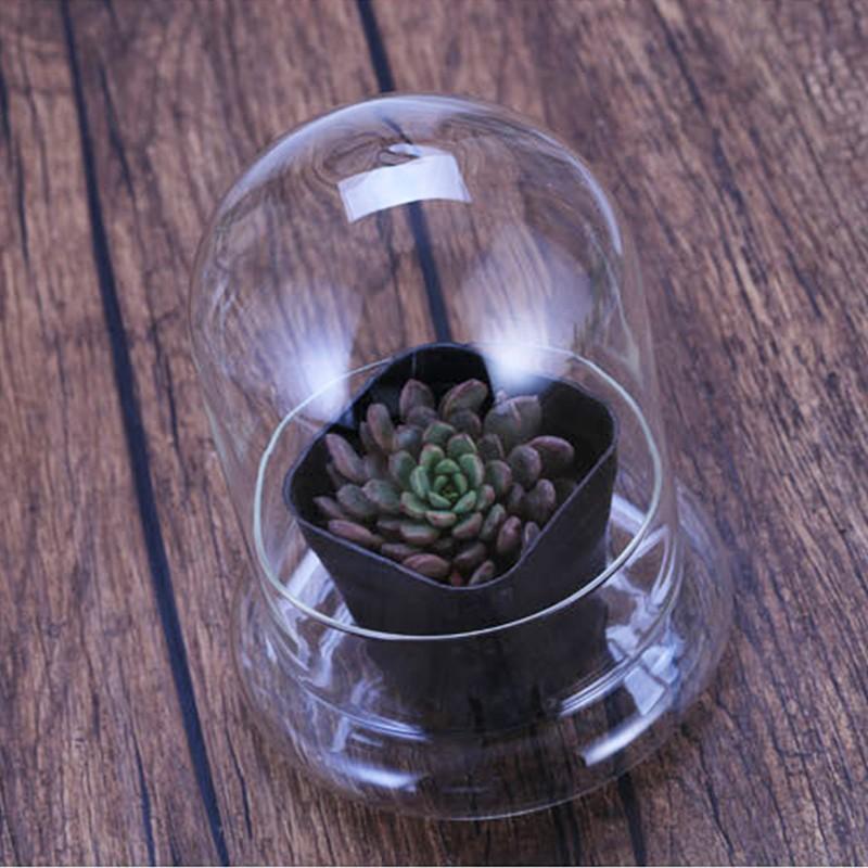 Clear Glass Dome with Airhole Glass Cloche Bell Jar with Base Home Tabletop Display Plant Flower Terrarium Container Home Decor