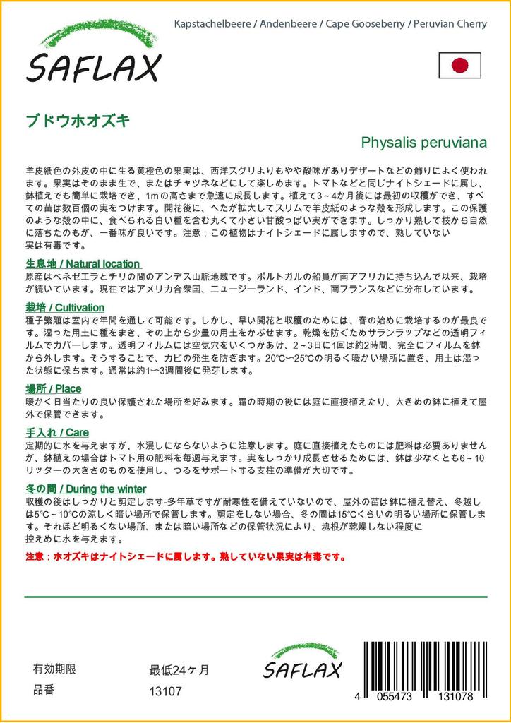 SAFLAX Капский крыжовник / Перуанская вишня - 100 семян - Physalis peruviana