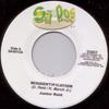 7inch Record JUNIOR REID / WADDA BLOOD - Misidentification SA0010 Sa Dos 2002 Jamaica Reggae, Ska & Dub Used