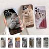 British Shorthair Cat Phone Case For iPhone 14 13 12 11 Pro Max XS X XR SE 2020 6 7 8 Plus Mini Transparent Shell