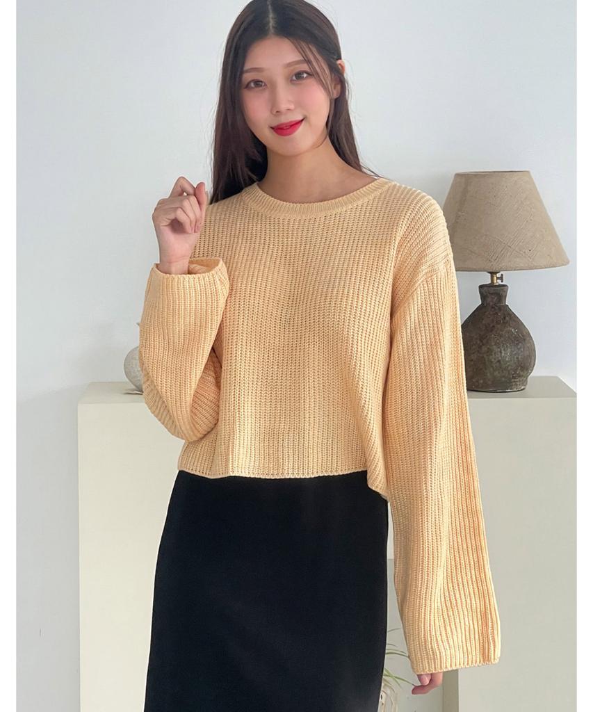 VANAKE Tone-On-Tone Crop Knit_Ob12Knme03Z