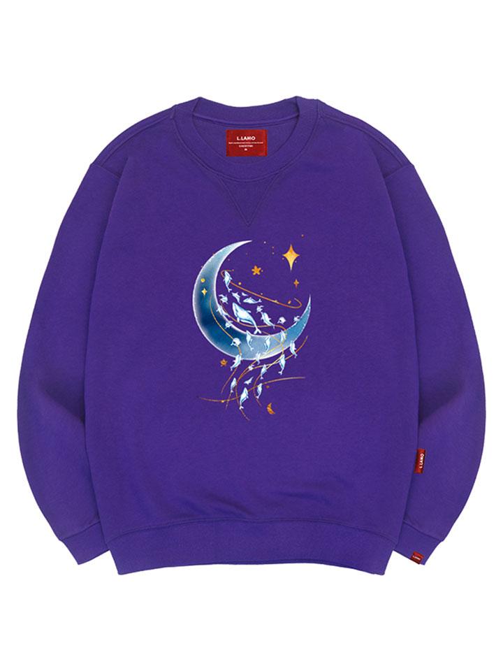 Толстовка Ellamo Moonlight Dolphin Унисекс Большие Размеры S~4XL (Тип)