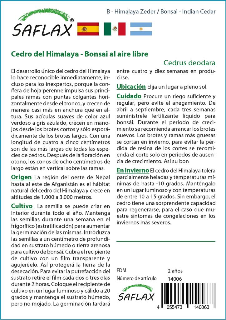 SAFLAX Garden in the Bag - Бонсай - Индийский кедр - 35 семян - С субстратом в подходящем мешке - Cedrus deodara