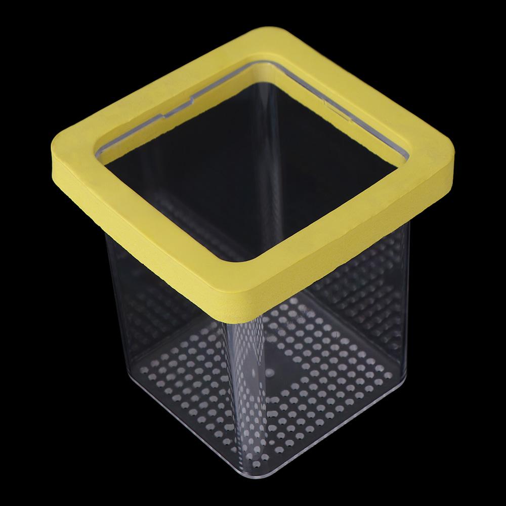 Прозрачный аквариумный нерестовик Акриловый изолятор для разведения рыб Инкубационный ящик для мальков Петушок