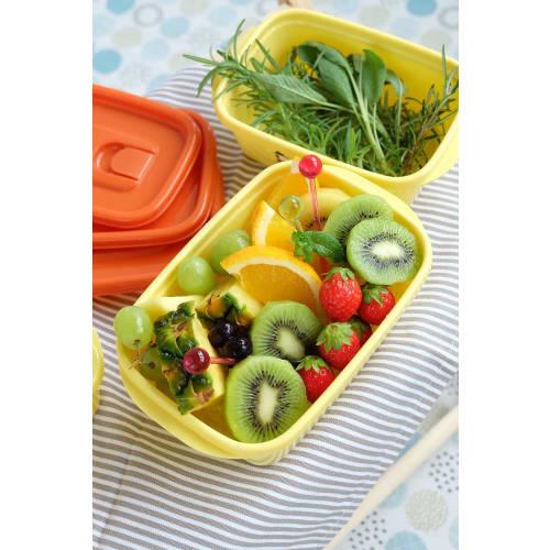 Iwasaki Industries Контейнер для хранения Snoopy с крышкой, 940 (Набор из 2)