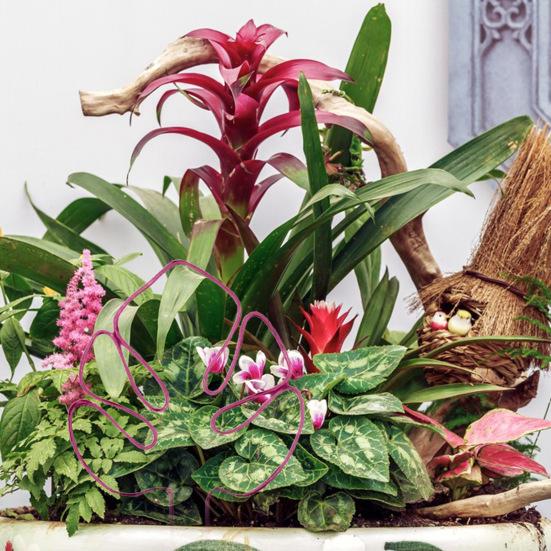 Подставка для растений в форме монстеры, нержавеющая, устойчивая к коррозии, простая установка, опора для горшечных растений, опорная стойка в форме цветка, опорная свая