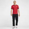Nike Portugal 2024 / 25 Match Home Adv Authentic Jersey (Unisex) Soccer Jerseys FJ4262 657